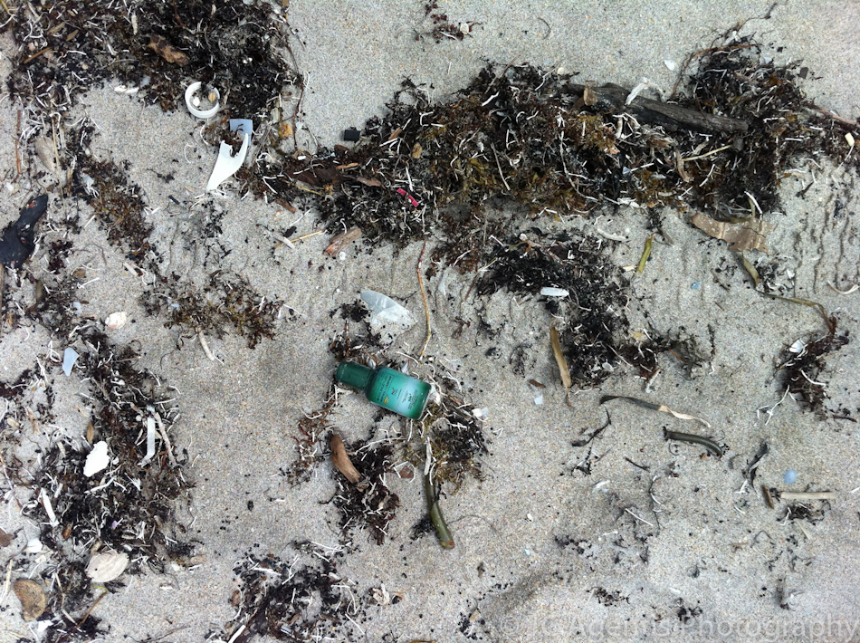 Garbage on the Beach in Florida