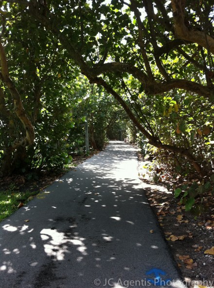 Running path in Highland Beach, Florida